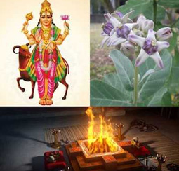 अर्क विवाह